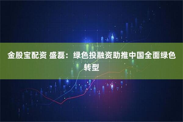 金股宝配资 盛磊：绿色投融资助推中国全面绿色转型