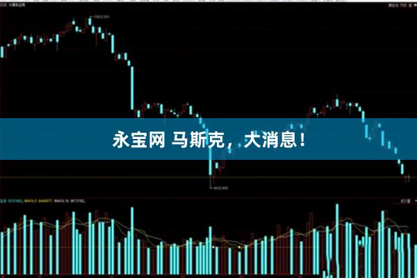 永宝网 马斯克,大消息!