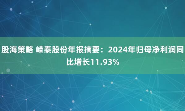 股海策略 嵘泰股份年报摘要：2024年归母净利润同比增长11.93%